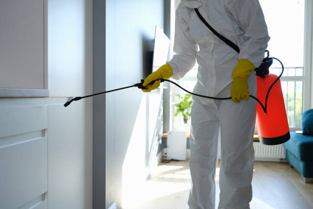 Crawl Space Mold Removal in Cologne, MN